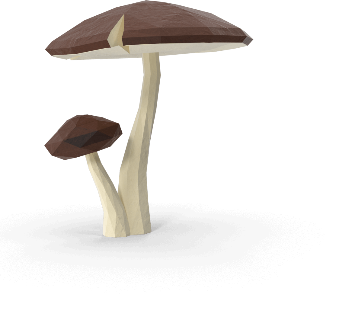 Mushroom